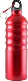 Бутылка питьевая с карабином 750мл